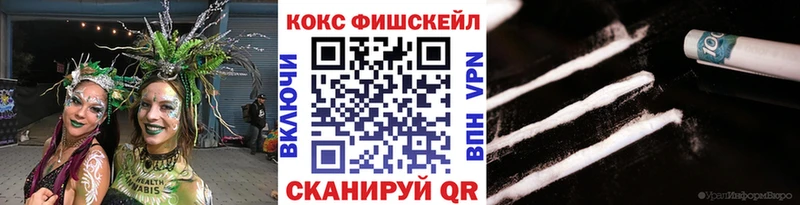 КОКАИН Fish Scale  даркнет сайт  Кинель 