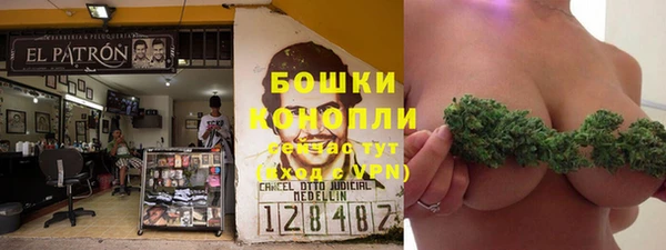 ECSTASY Остров