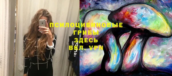 мяу мяу мука Осташков