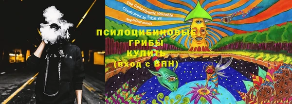 мяу мяу мука Осташков