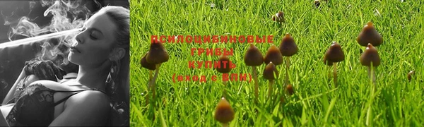 бошки Переславль-Залесский