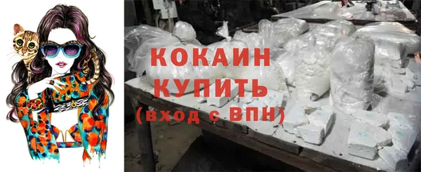 ECSTASY Остров