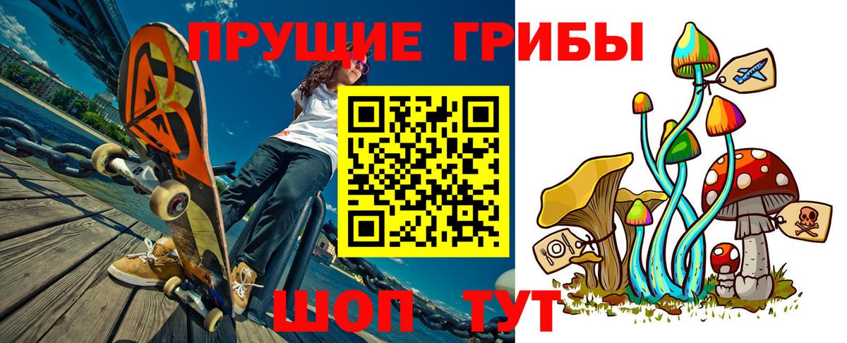 Псилоцибиновые грибы Psilocybe Кинель