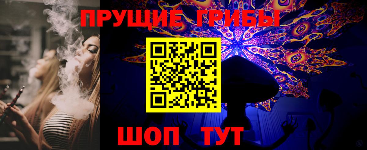 Кинель  Псилоцибиновые грибы Magic Shrooms  Вход с VPN 