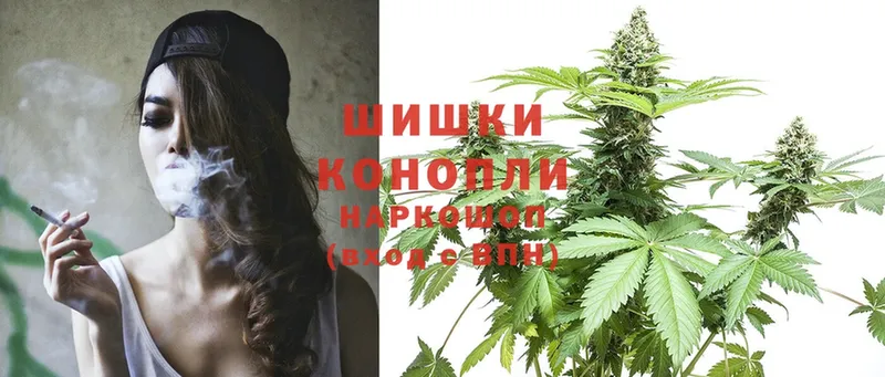 Конопля план  Кинель 